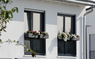 Zwei Fenster mit Blumen